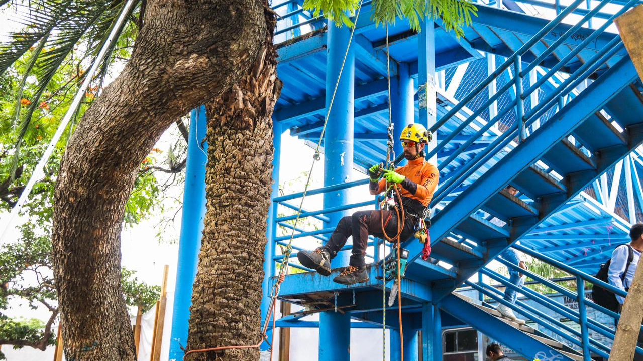 Cuernavaca transforma la glorieta de La Luna