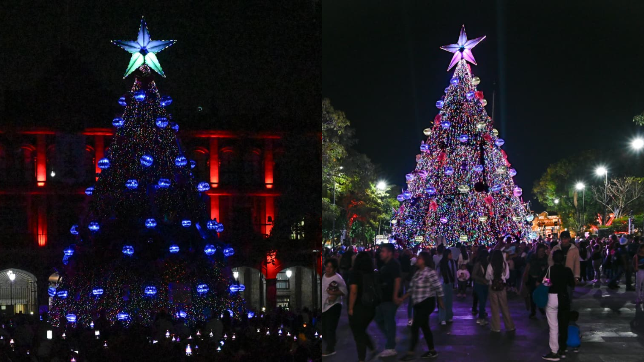 encendido arbol navidad