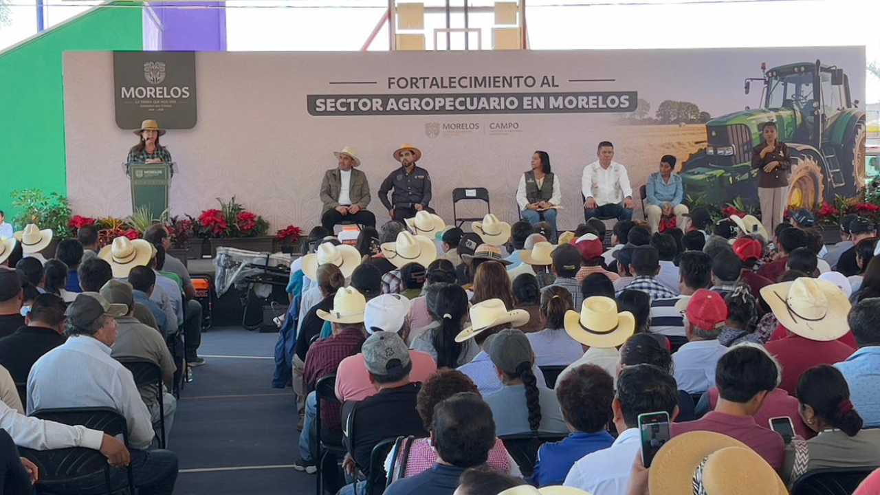 apoyo campo