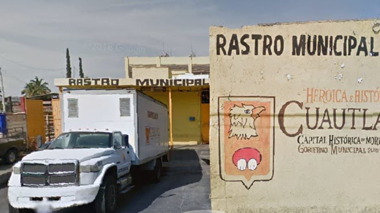 Crimen organizado disputa control del sacrificio ilegal de ganado en Cuautla