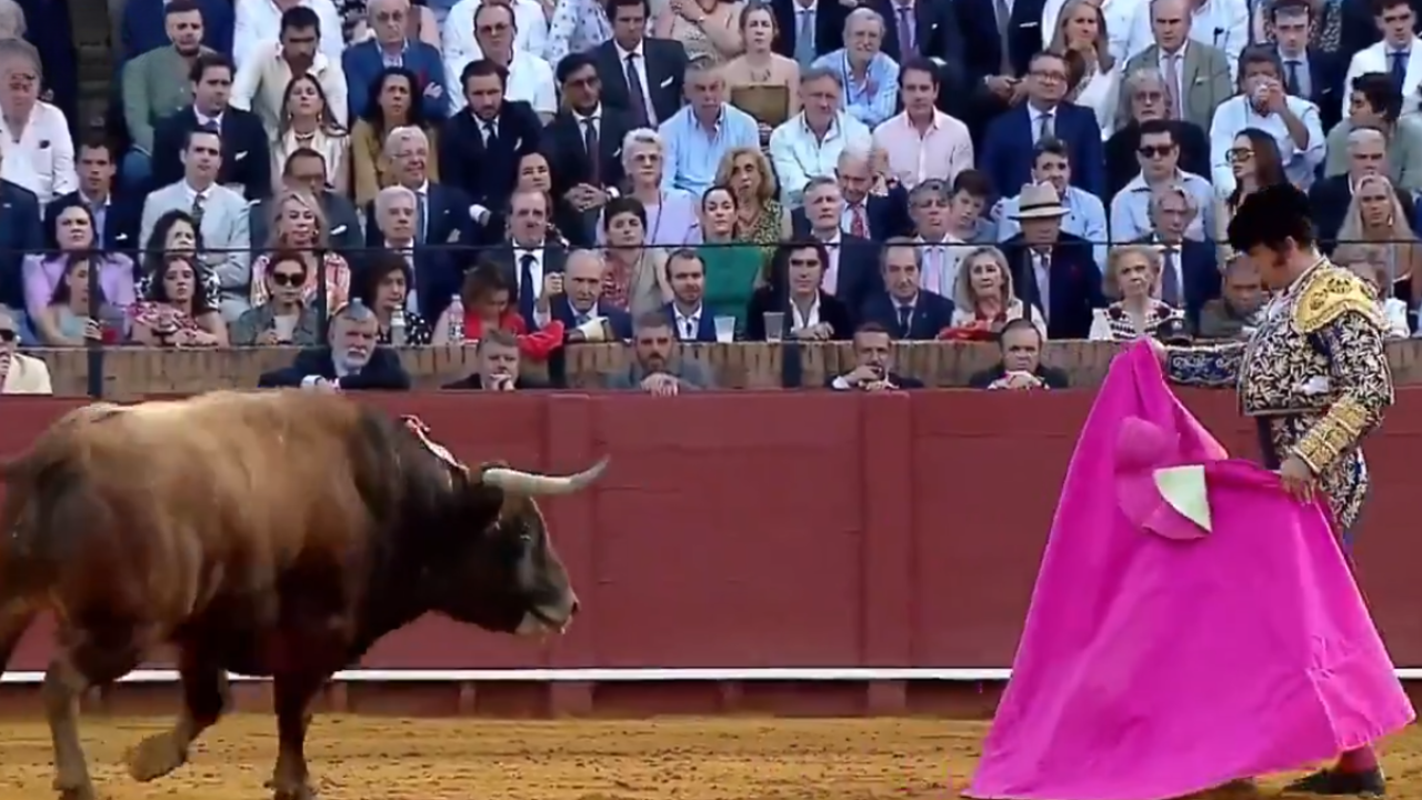 Torero Morante de la Puebla se encuentra “muy grave” tras fuerte cornada