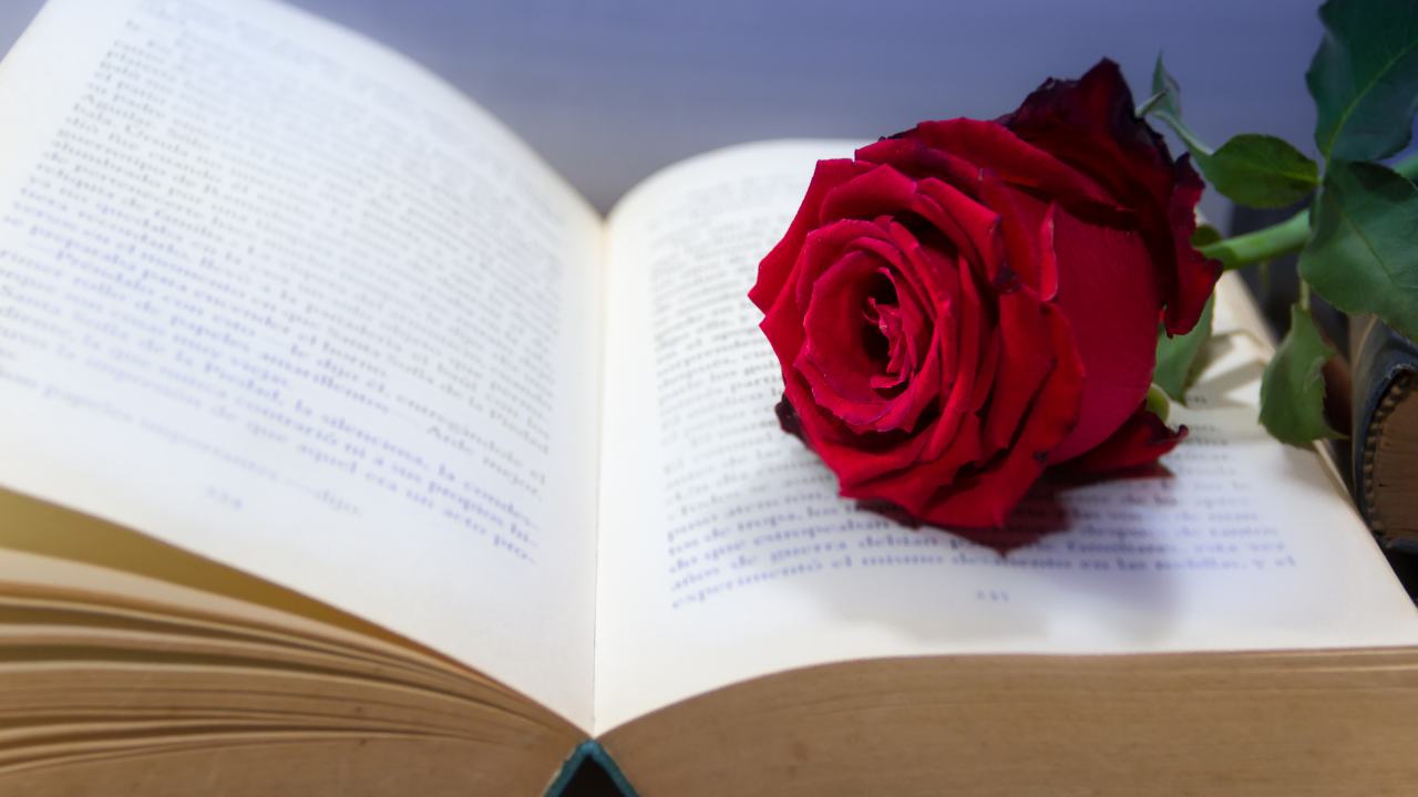 Día mundial del libro: Por qué el 23 de abril celebra a la lectura