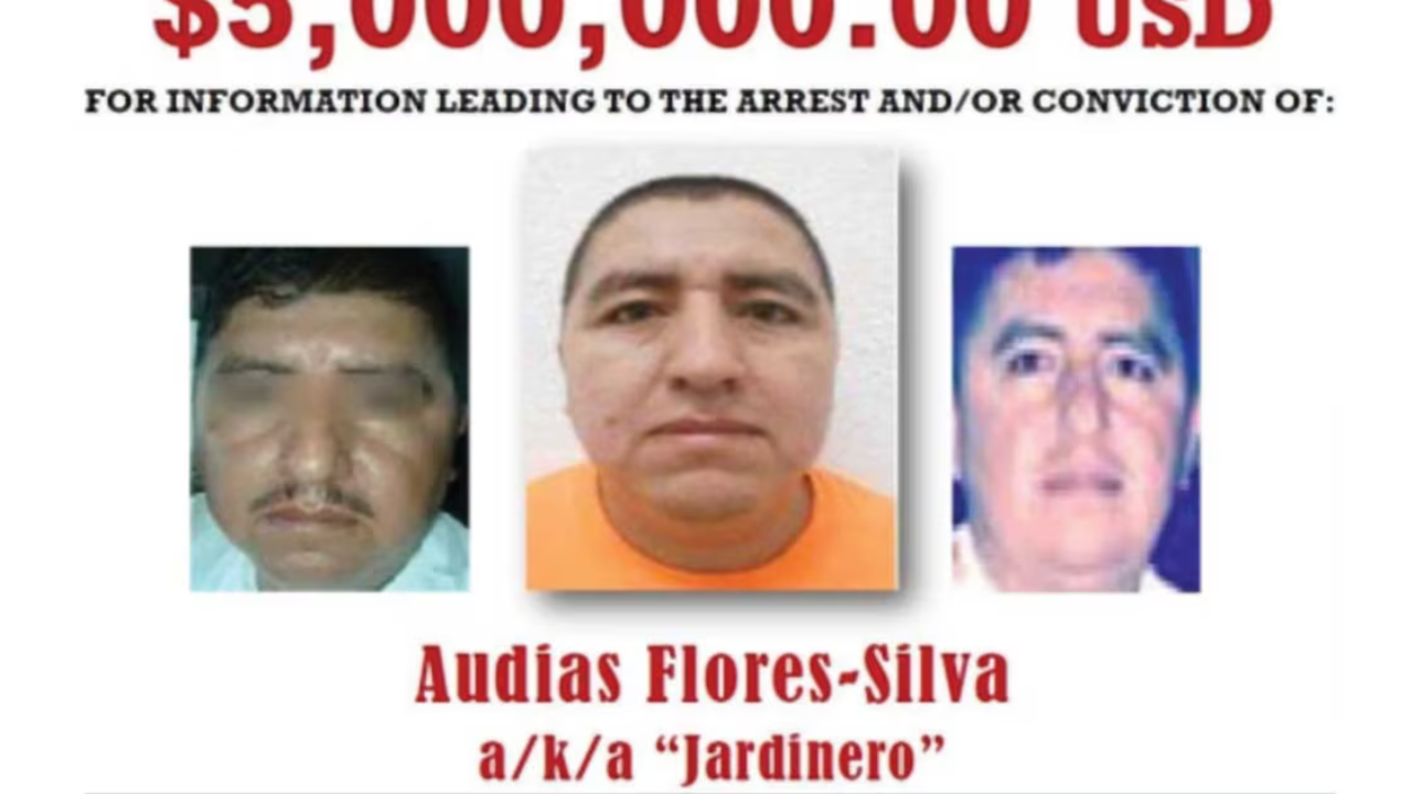 jardinero interpol eu