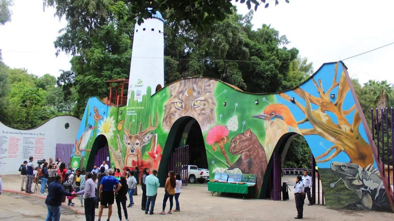 Invita SDS a celebrar el día de la niñez con actividades gratuitas en el Parque Barranca de Chapultepec