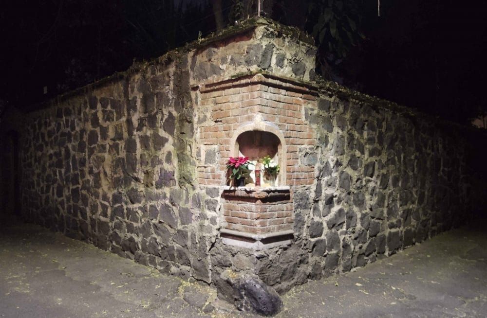 El Callejón del Aguacate: Risas y sombras entre los árboles