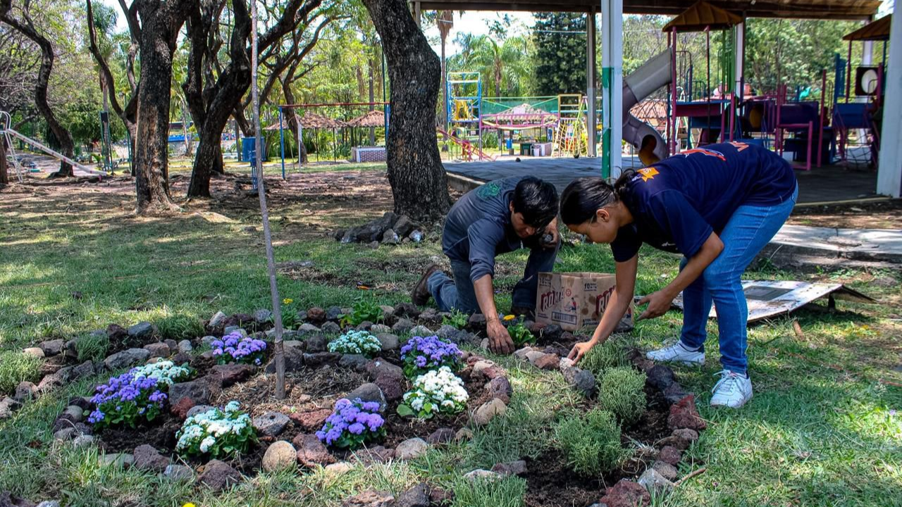 Cuernavaca transforma el Parque Alameda con color y participación ciudadana