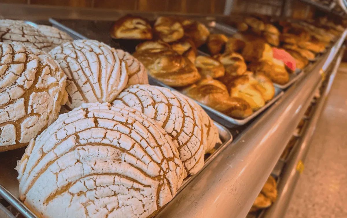 ¿Cuánto pan puedes comer al día? Harvard revela la cantidad recomendada
