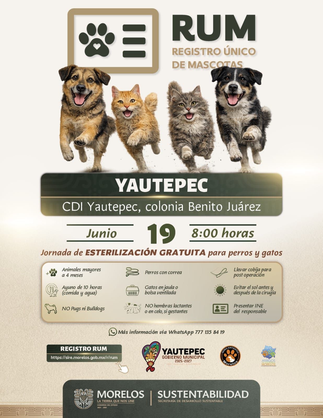 Gobierno de Morelos impulsa esterilización gratuita de mascotas en Yautepec