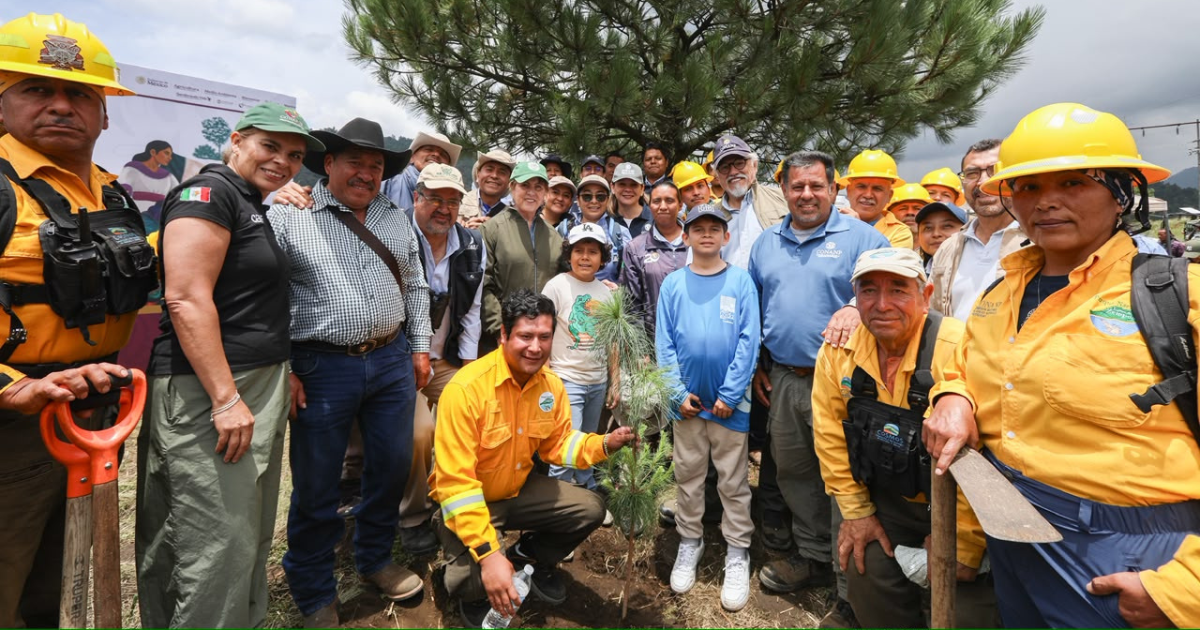 Morelos refuerza protección de sus bosques con reforestación