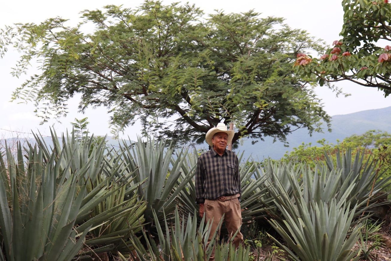 Gobierno de Morelos acompaña a productores de mezcal hacia la certificación