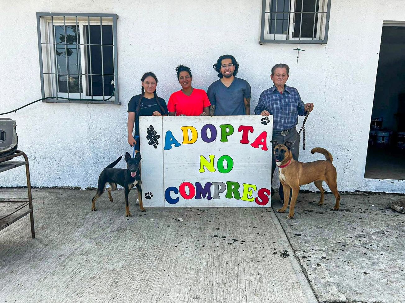 Cuernavaca impulsa la adopción responsable de perros rescatados