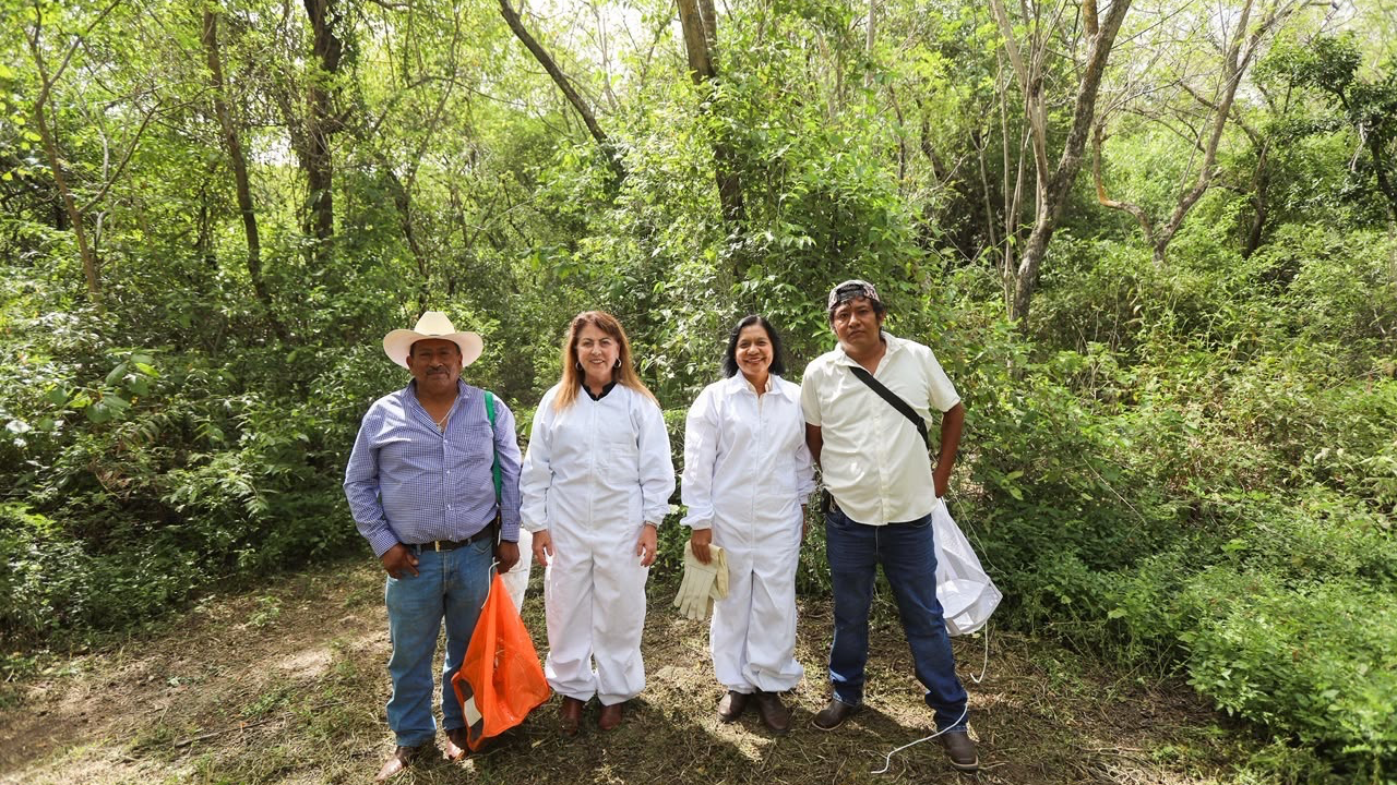 Promueve Margarita González Saravia consumo de miel morelense