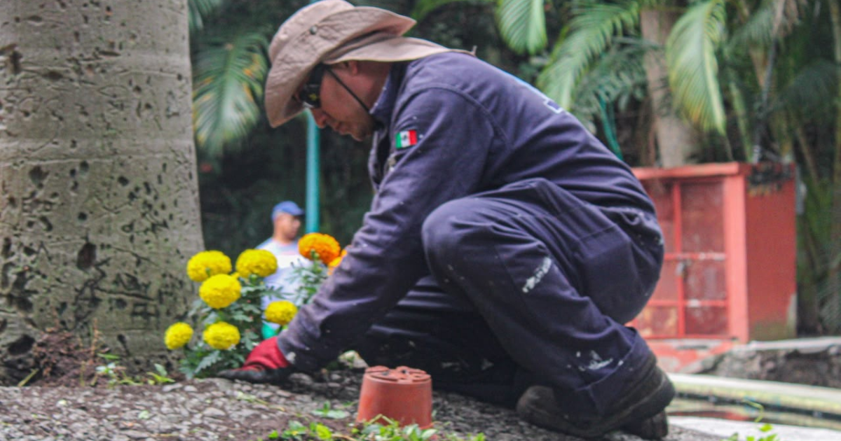 Renuevan el parque Melchor Ocampo con limpieza, poda y nuevas plantas
