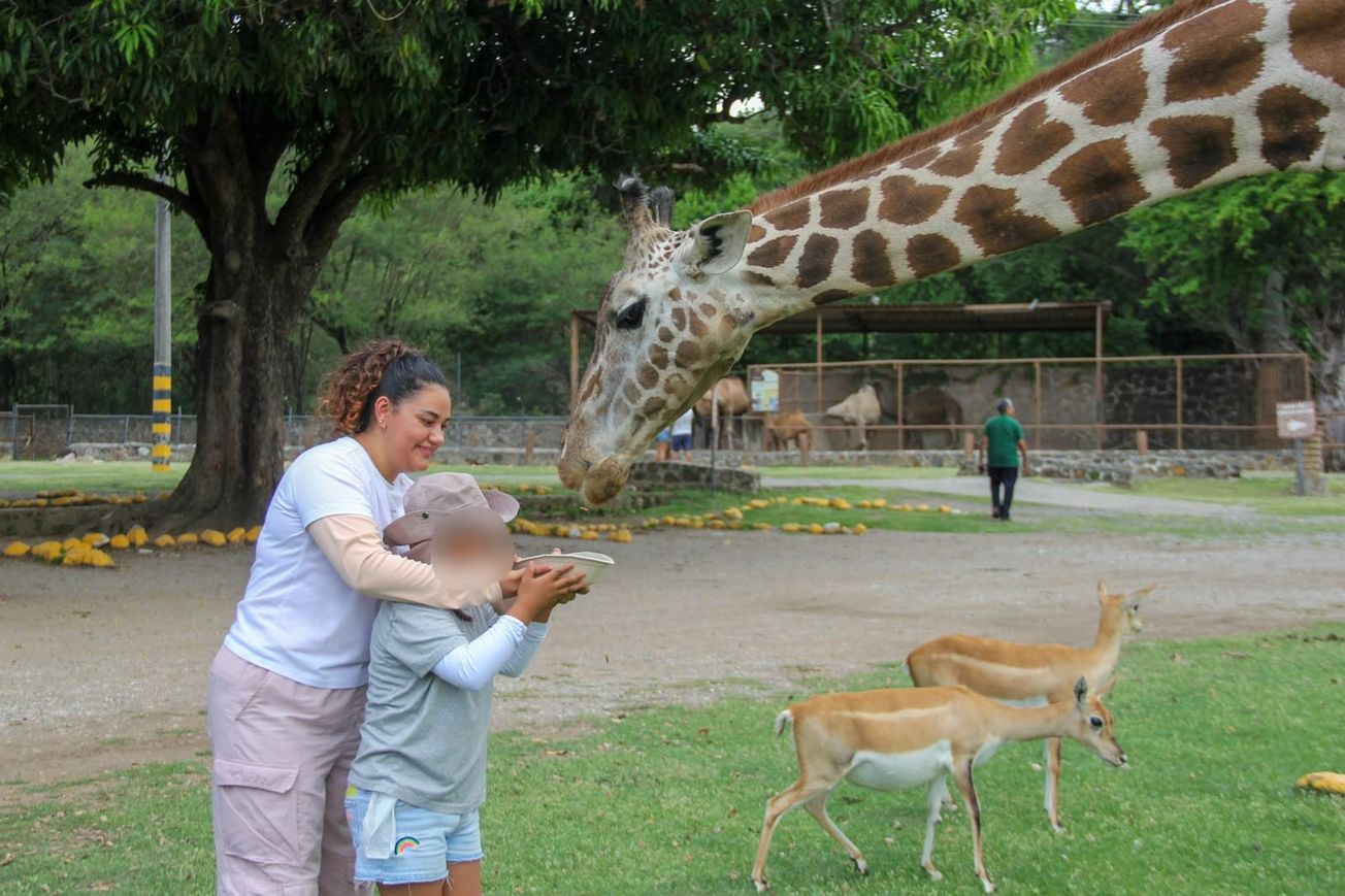 Usuarios del CASODI visitan Zoofari