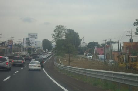 Talarán 3 mil árboles para ampliar autopista México-Acapulco en Cuernavaca