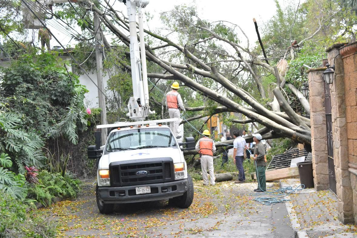 Cae espectacular sobre peatón por mal clima en Morelos