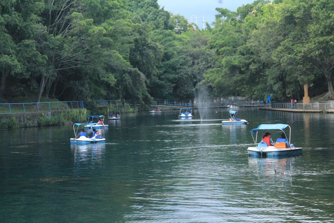 No se reportan afectaciones en el lago del Parque Chapultepec