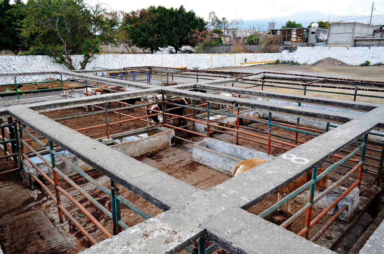 24 Morelos Rastro de Cuernavaca