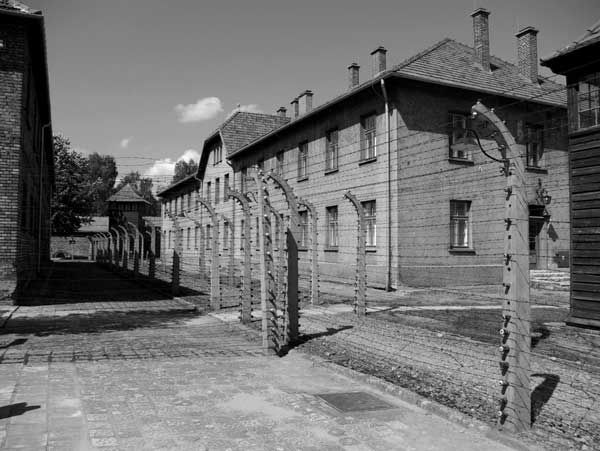 Hallan restos humanos de época nazi