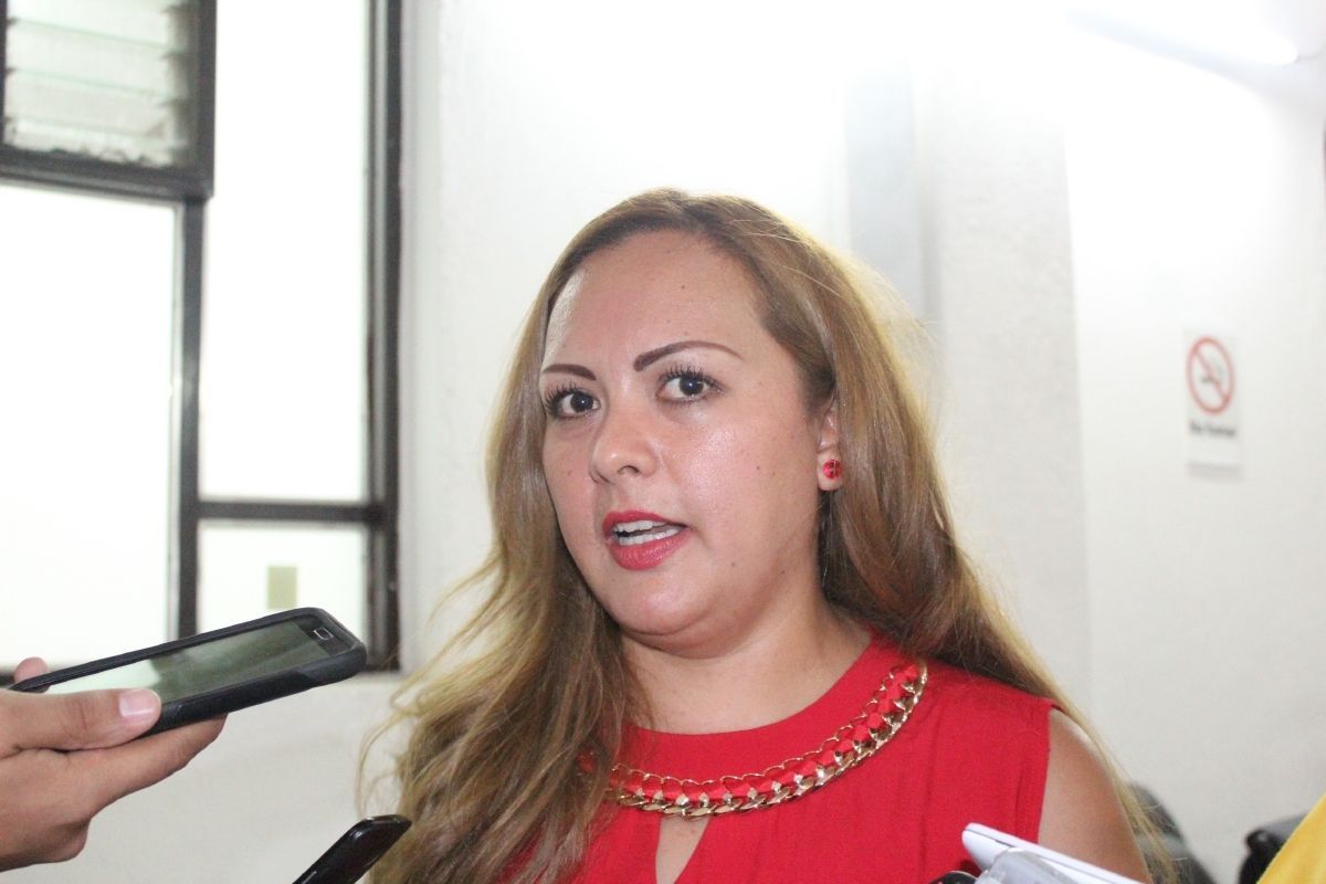“Después de tomar protesta, me pongo al corriente”, nueva titular del Instituto de las Mujeres