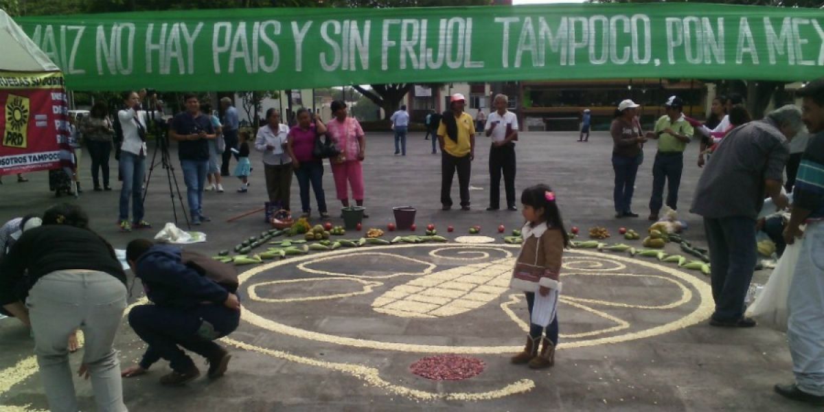 Anuncian marcha contra recorte presupuestal del campo