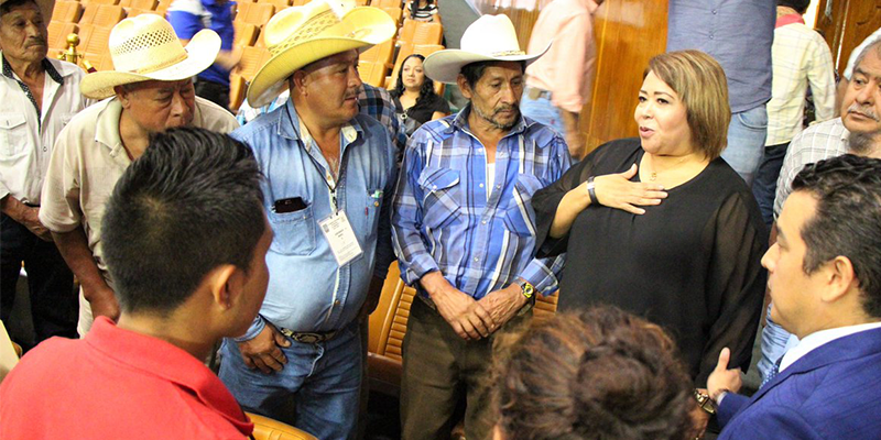 Piden campesinos ayuda al Ejecutivo ante pérdidas de cultivos por incendios