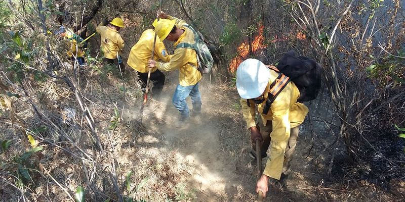 Urgente reforzar acciones contra incendios