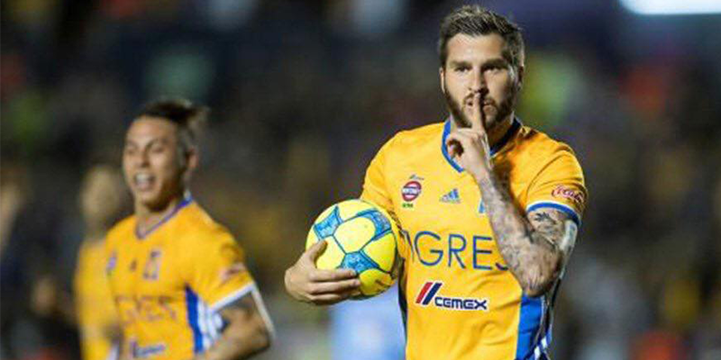 Tigres a la final