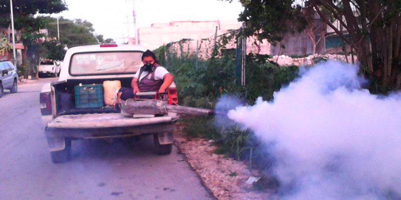Aumentran trabajos contra enfermedades en Morelos