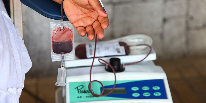Piden fomentar la cultura de donación de sangre