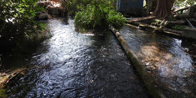 Realizan pruebas en fuentes de abastecimiento de Cuernavaca