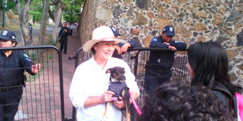 24 noticias que impactaron en 2017/ Los perros de Dora Anaya