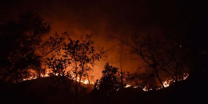 24 noticias que impactaron en 2017/ Incendios azotan a Morelos