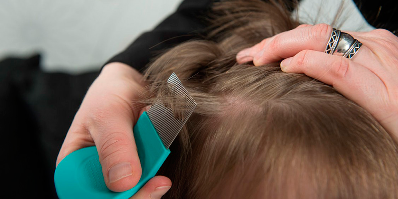 ¿Qué es la pediculosis?