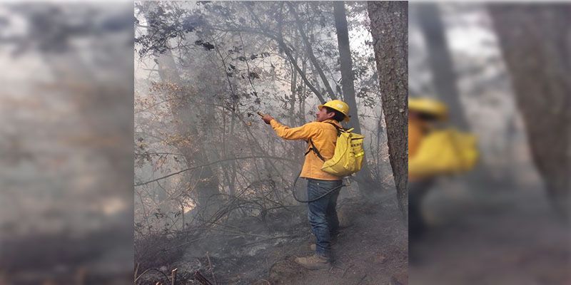 348 Hectáreas afectadas por incendios forestales