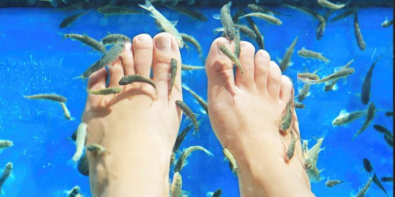 Pedicura con peces podría ser riesgosa