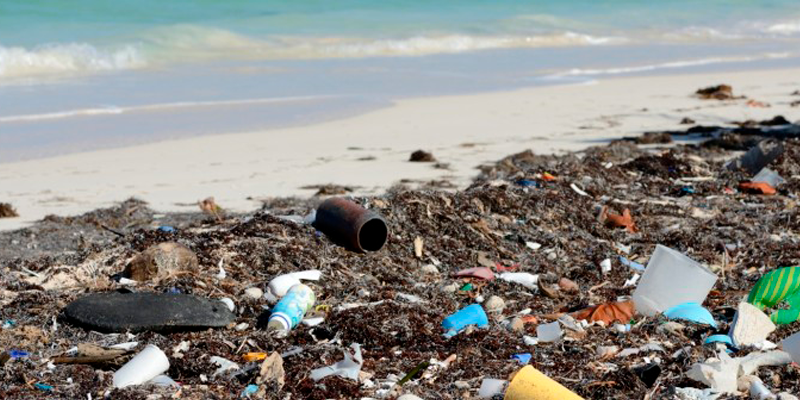 ¿Cuáles son las playas más contaminadas de México?