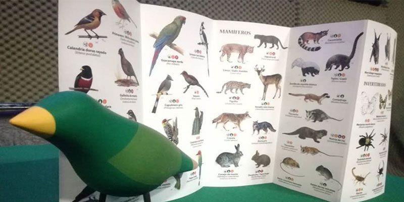 Presentan Tercera Guía de Fauna