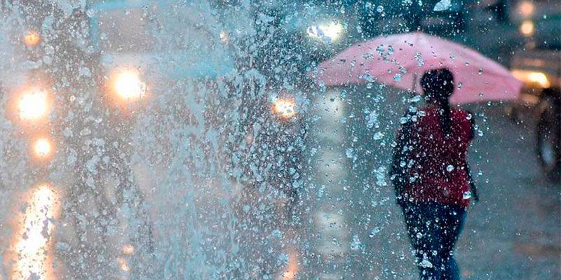 Llegaron las lluvias☔????