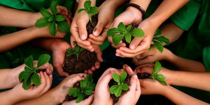 Realizan saneamiento en Sierra Montenegro