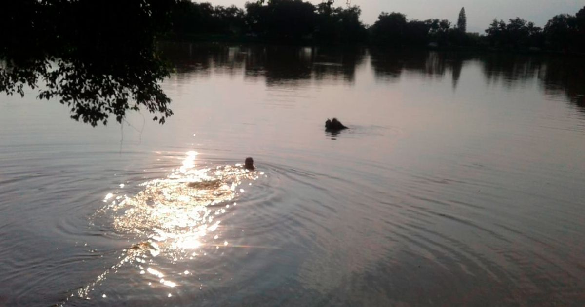 Pierde la vida en el Jaguey