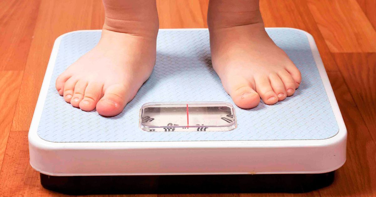 ¡Cuidado con la obesidad infantil!