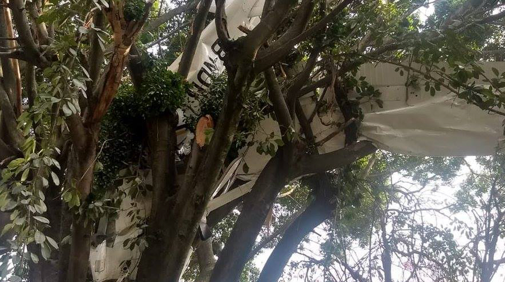 Cae avioneta en Cuernavaca