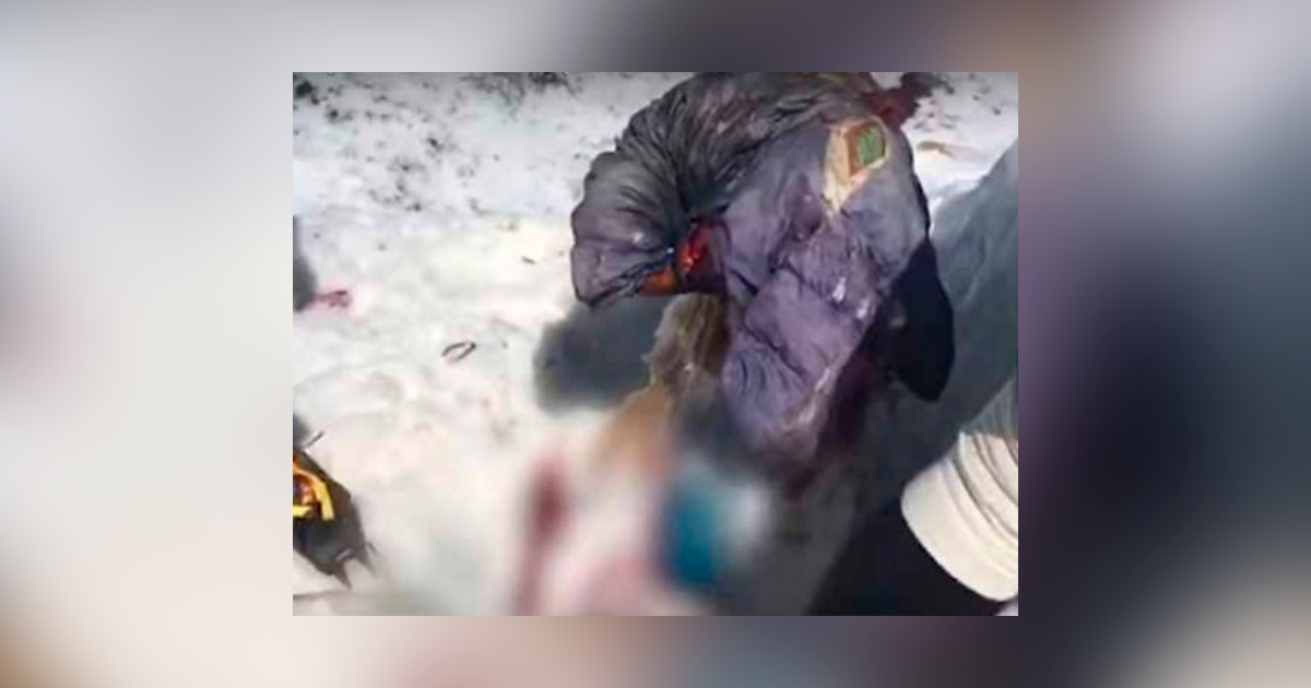 (VIDEO) 31 años después encuentran cuerpo de alpinista