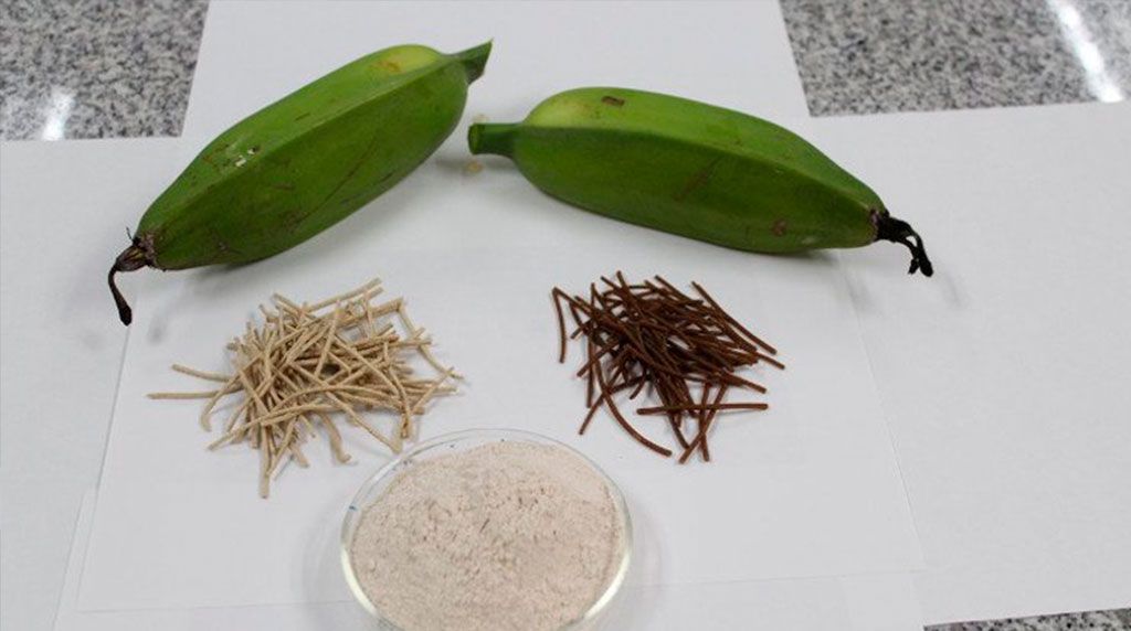 Plátano verde para el cáncer del colon