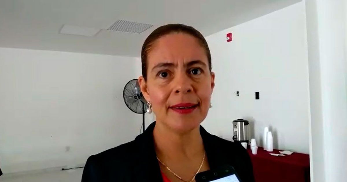 “Se han detectado anomalías y abusos en la pasada legislatura”