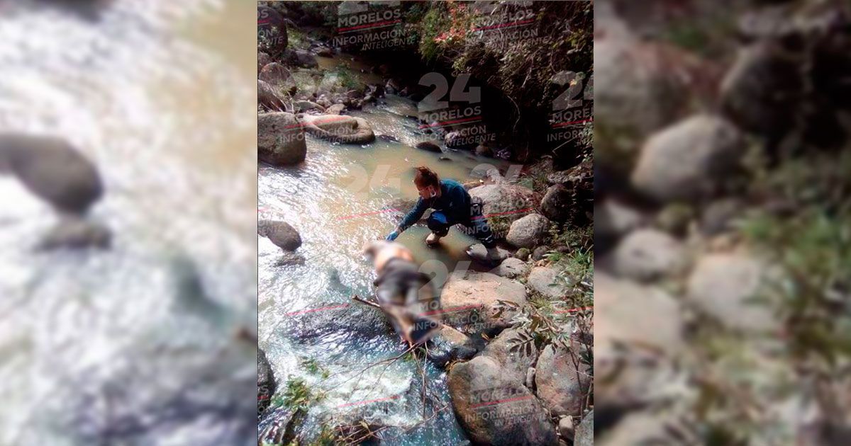 Localizan el cuerpo sin vida de una persona desaparecida