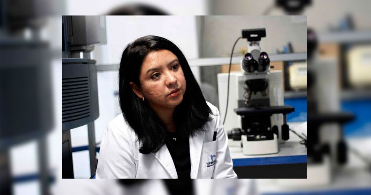Crean plástico a base de bacterias