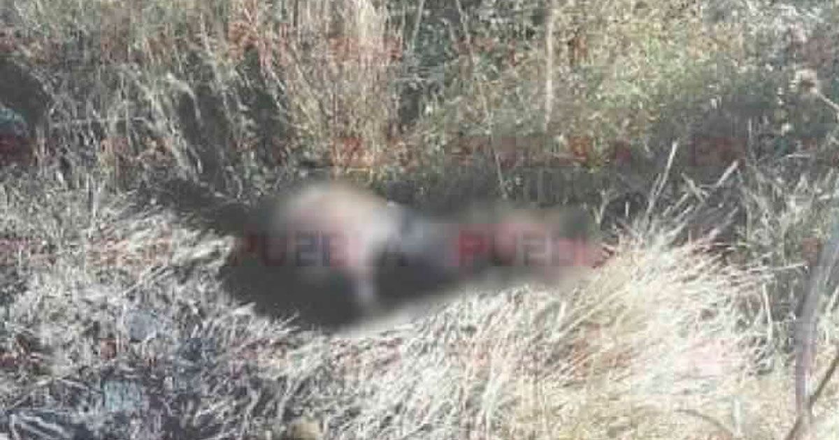 Localizan cuerpo desmembrado en la carretera Izúcar de Matamoros – Cuautla