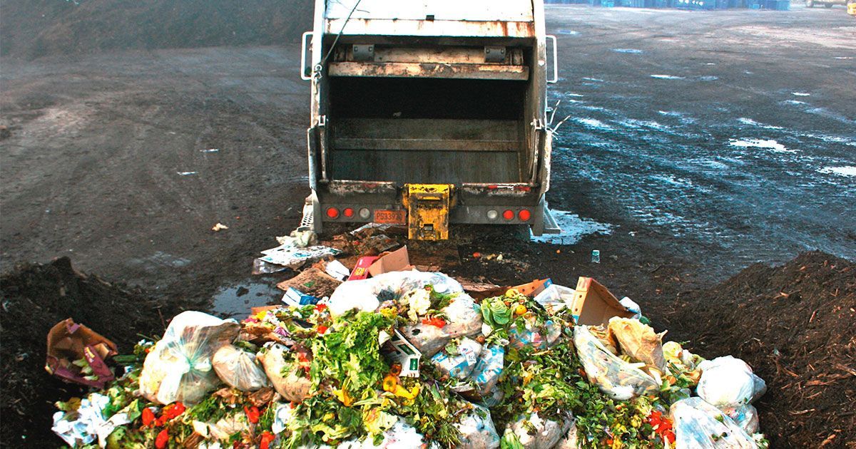 Desperdicio de comida en México, un problema latente